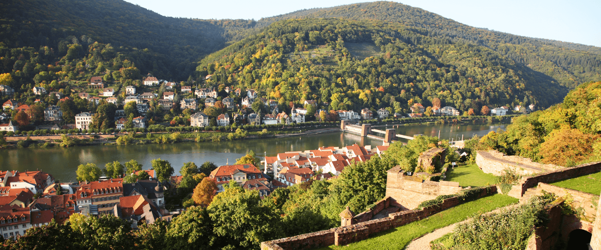 Heidelberg mit Blick auf Neckar